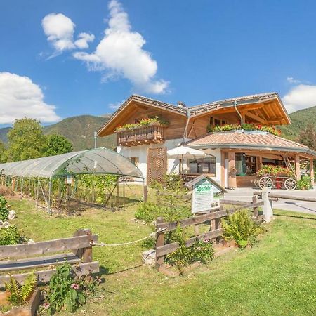 B&B Dalla Fattoria Della Patty Pieve Di Ledro Exterior foto