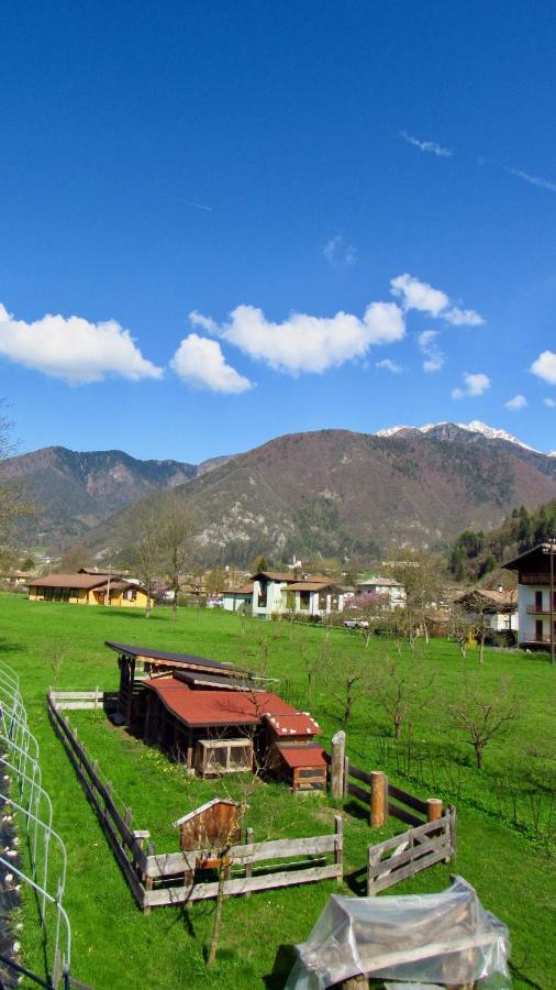 B&B Dalla Fattoria Della Patty Pieve Di Ledro Exterior foto